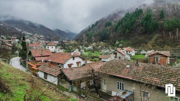 Ремонт на покриви в с. Пастра