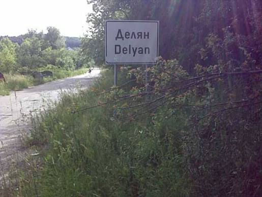 Ремонт на покриви в с. Делян